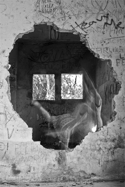  Figura 4 – Marielen Baldissera, Impermanências, 2012, fotografia digital, 75x50cm. Fonte: Acervo pessoal.