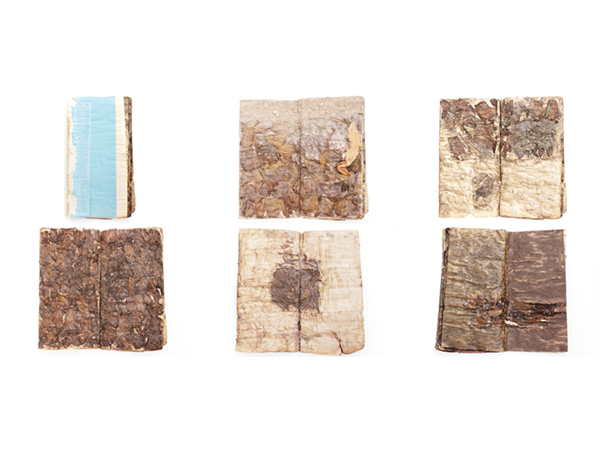  Figura 1 – Emanuel Monteiro, Livro de Amaranta, 2013-2014, flores e têmpera, cobre e fita micropore sobre livro, 38 páginas, 33 x 19 x 6 cm. Foto: Leli Baldissera.